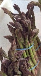 Asparagus1