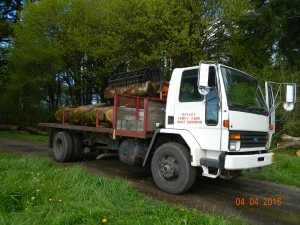 logs to lumber